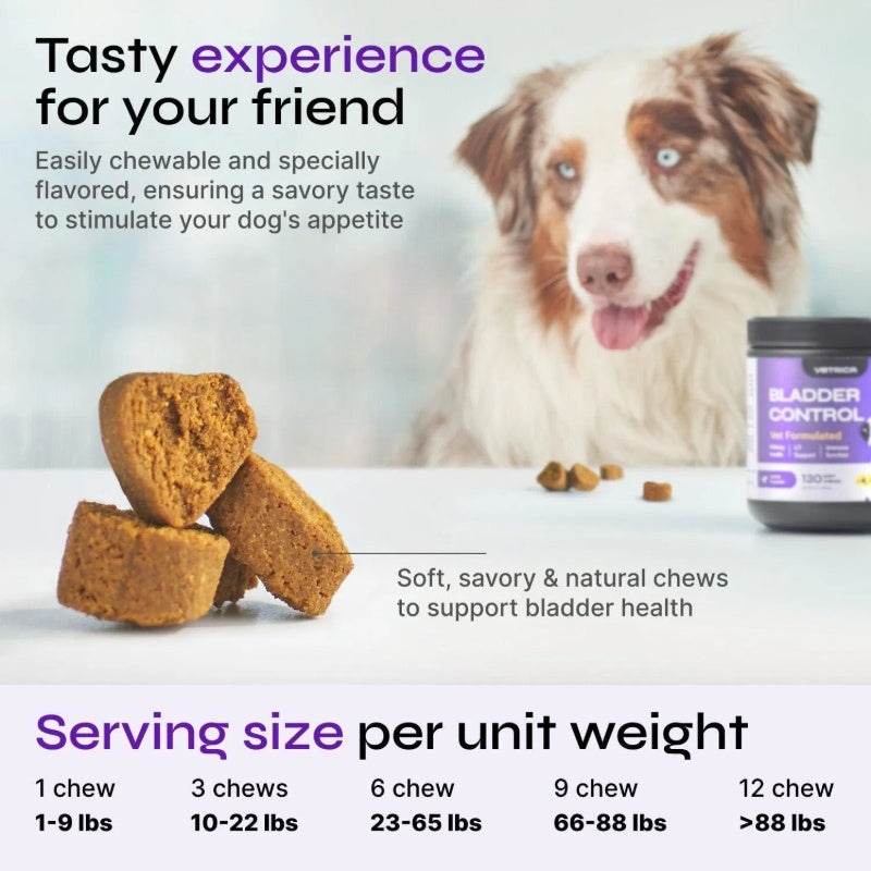 Dog UTI Treatment – Duck Flavor Cranberry Chews for Bladder & Urinary Tract Health