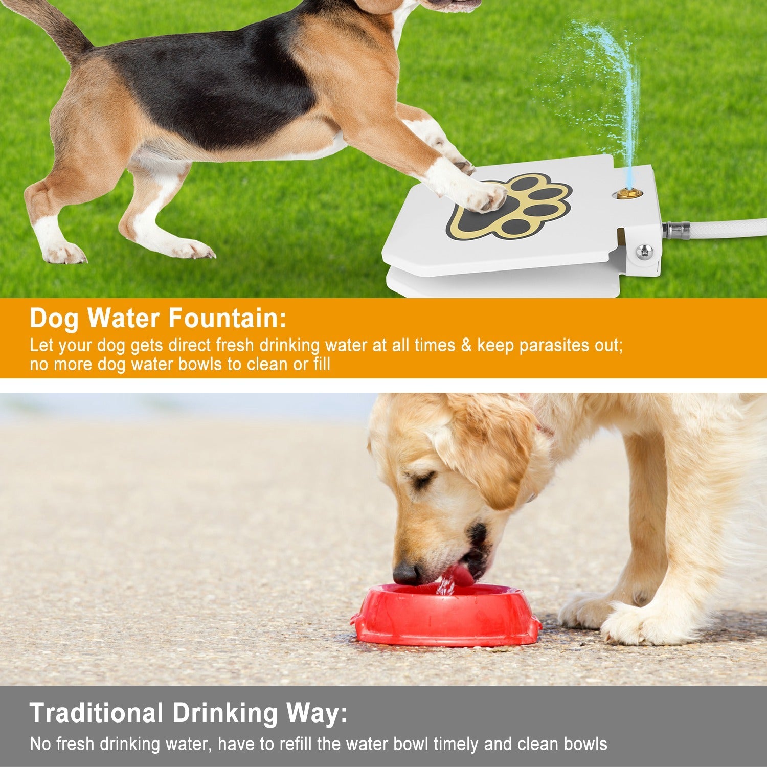 Outdoor Dog Water Fountain - Step-Activated Pet Drinking Dispenser