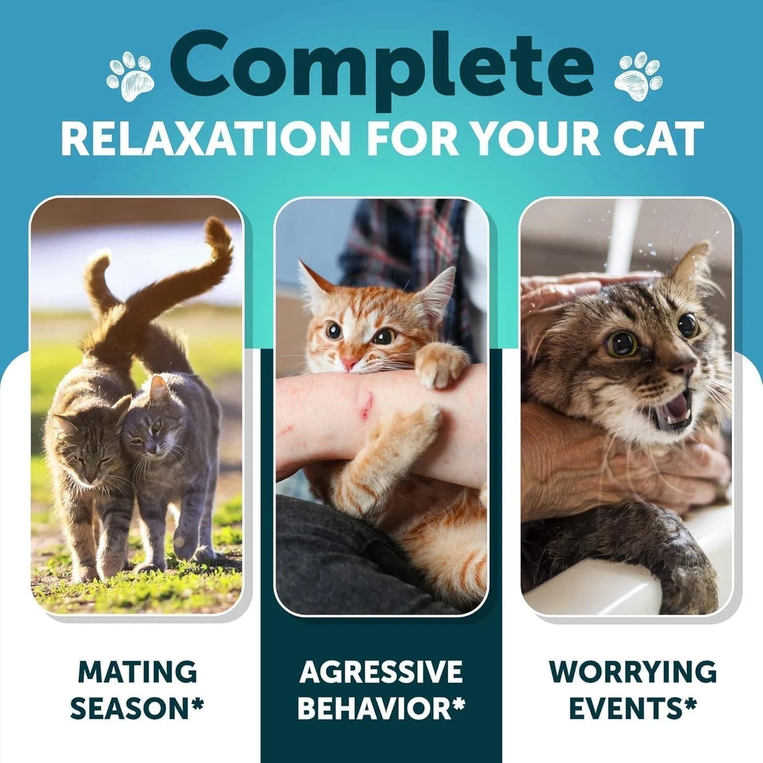 Hemp Cat Calming Treats – Stress & Anxiety Relief with Melatonin for Cats & Kittens