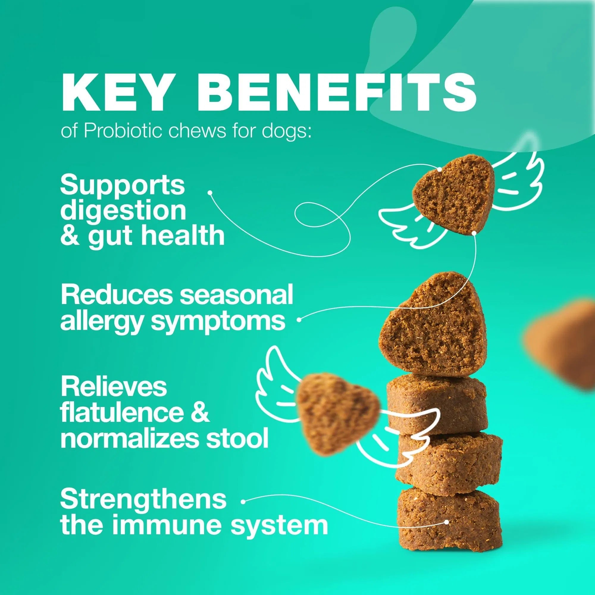 Probiotics for Dogs – Gut Health, Immunity & Allergy Support (180 Chews)