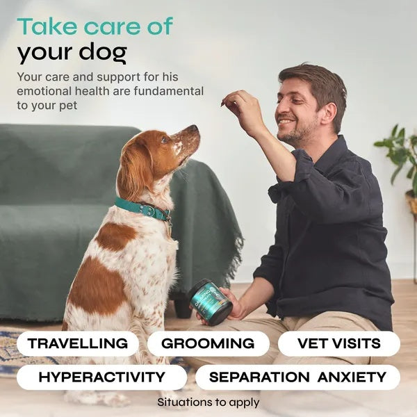 Hemp Calming Chews for Dogs – Duck Flavor Anxiety Relief Treats