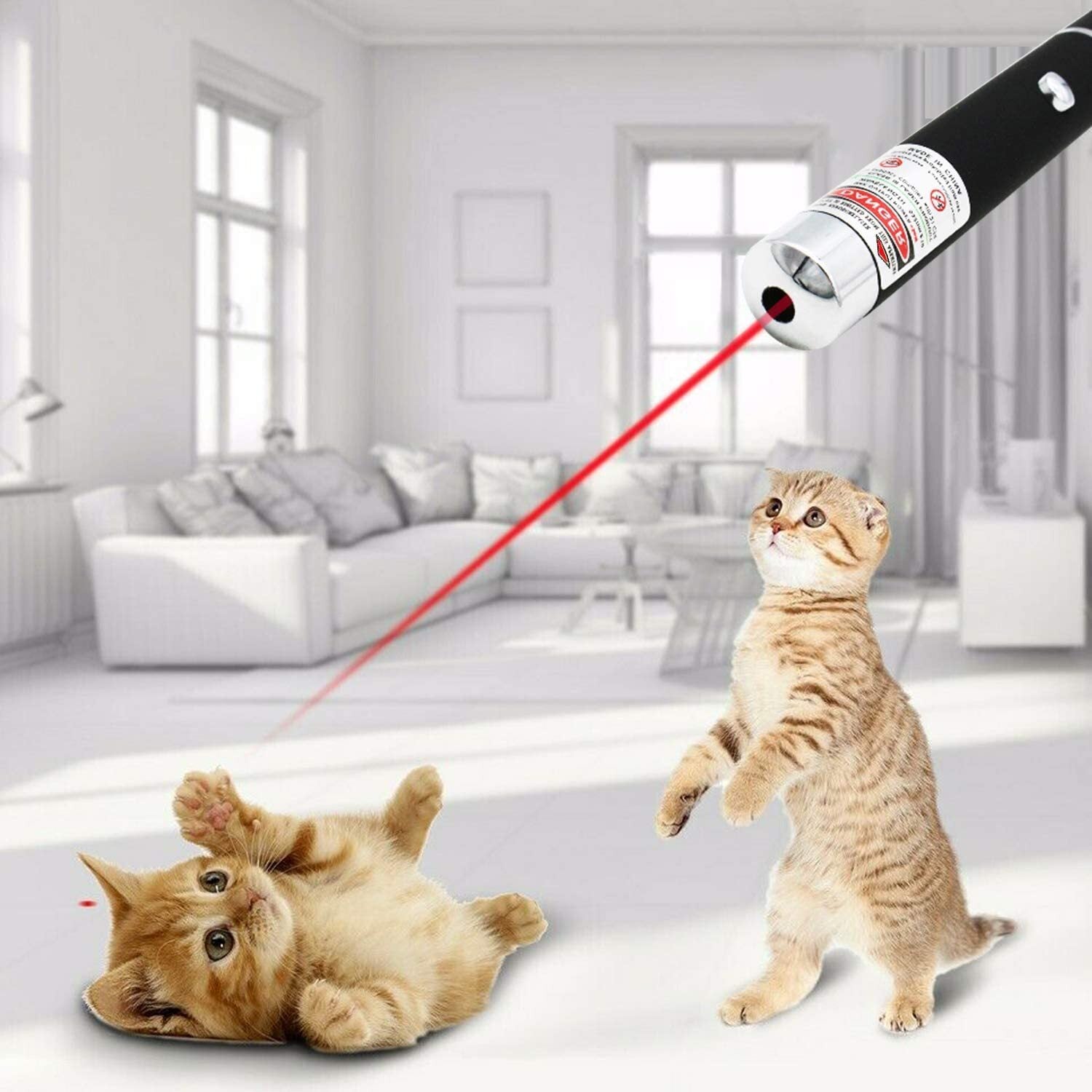 Red Laser Pointer Pen for Cats 10 pcs - Interactive Pet Toy