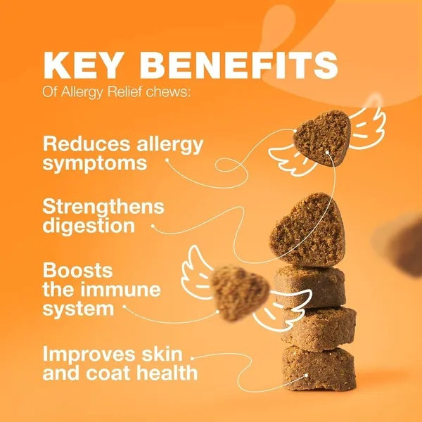 Dog Allergy Relief Chews – Itch Relief with Salmon Oil for Skin & Immune Health
