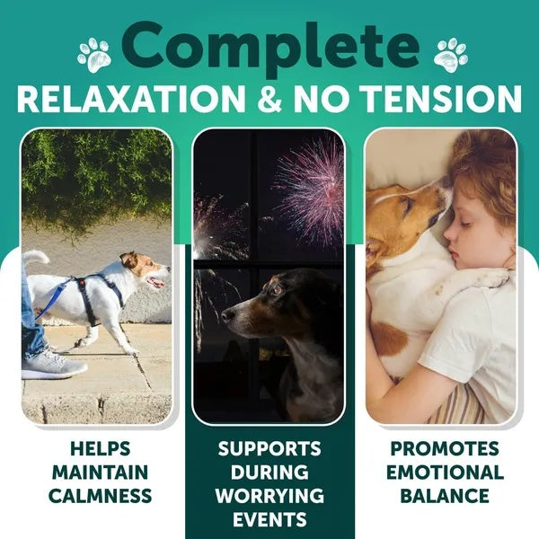 Hemp Calming Chews for Dogs – Anxiety Relief with Turmeric & Valerian (120 Treats)