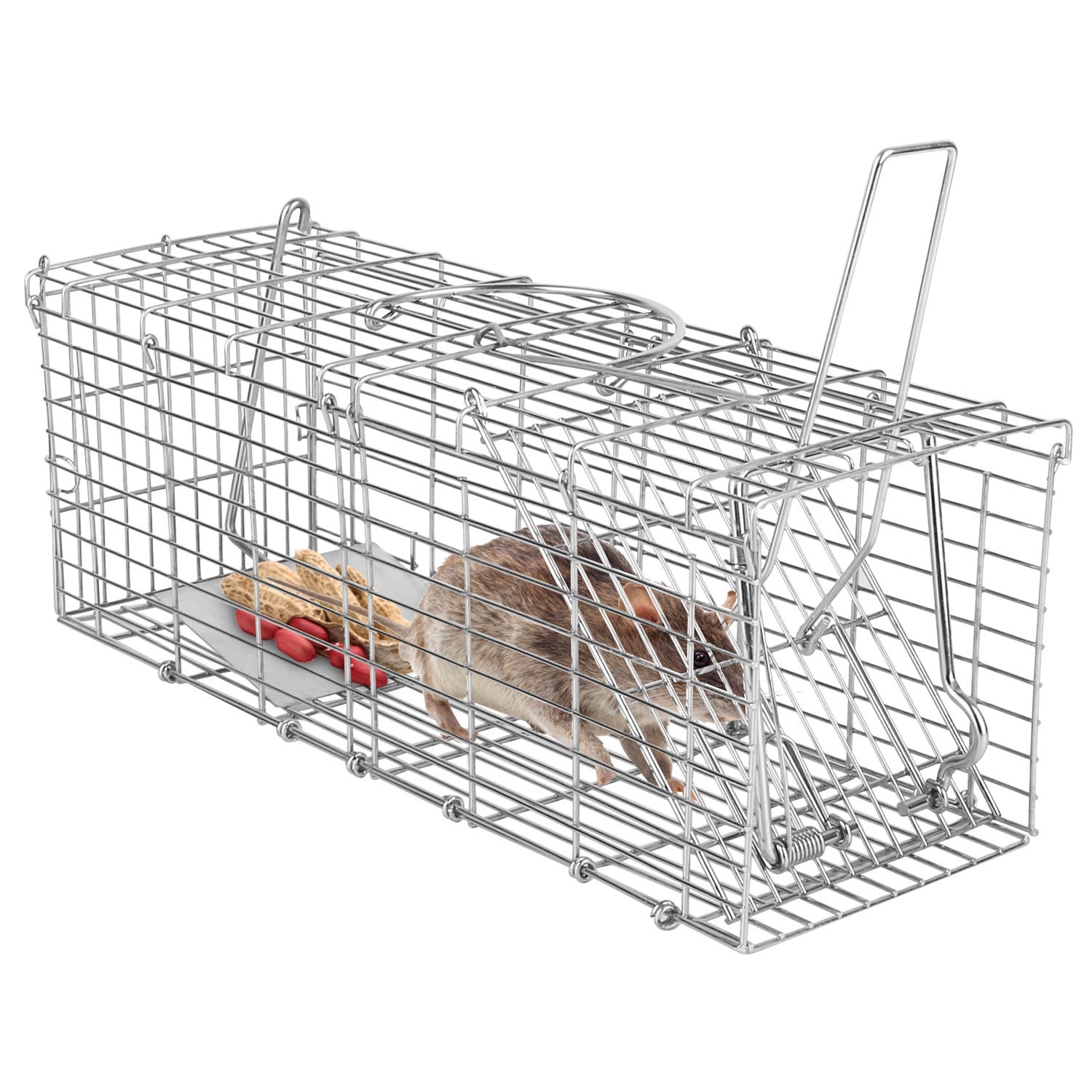 Humane Reusable Mouse Trap - Safe for Families, Children & Pets