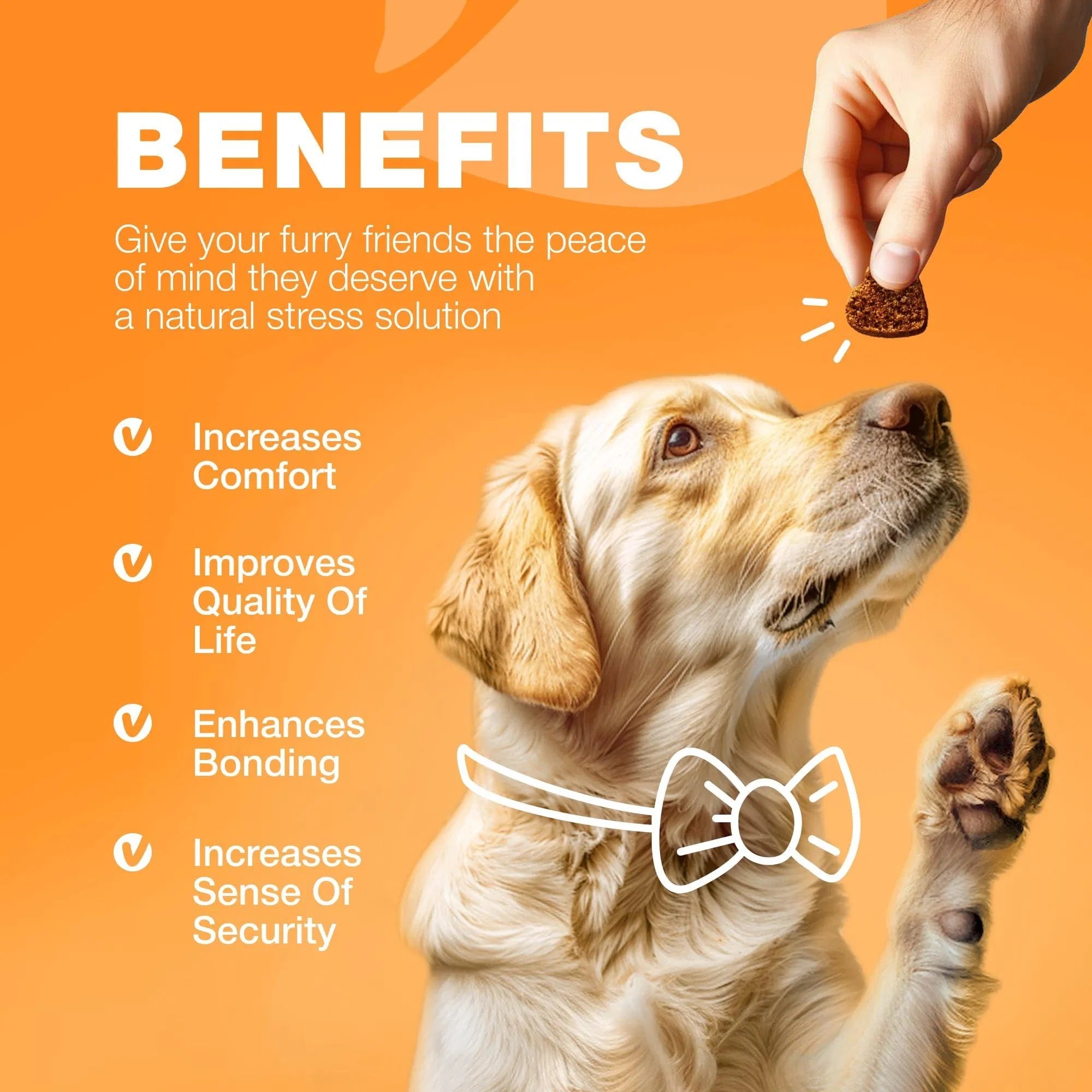 Dog Allergy Relief Chews - Itch & Skin Support with Salmon Oil