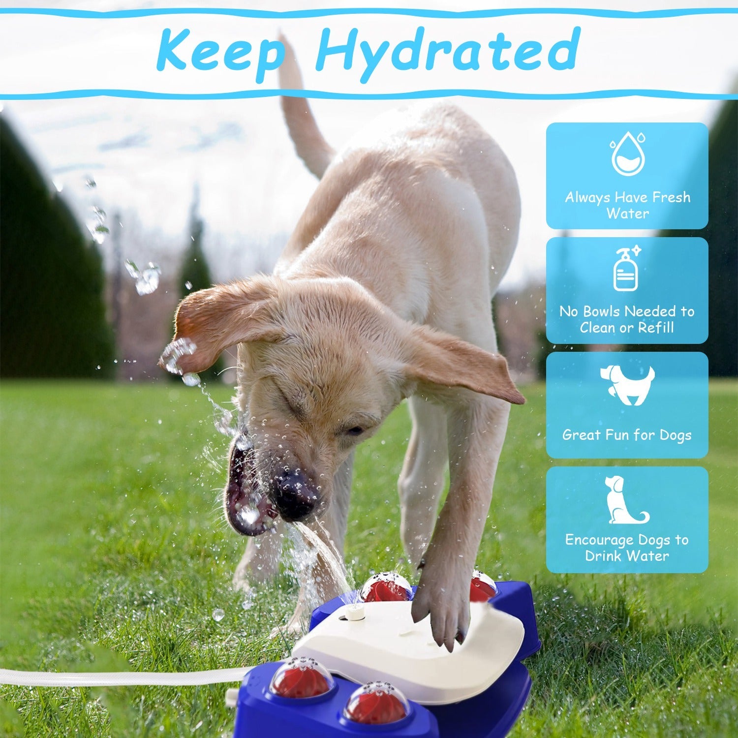 Multifunctional Dog Water Fountain - Step-Activated Outdoor Dispenser