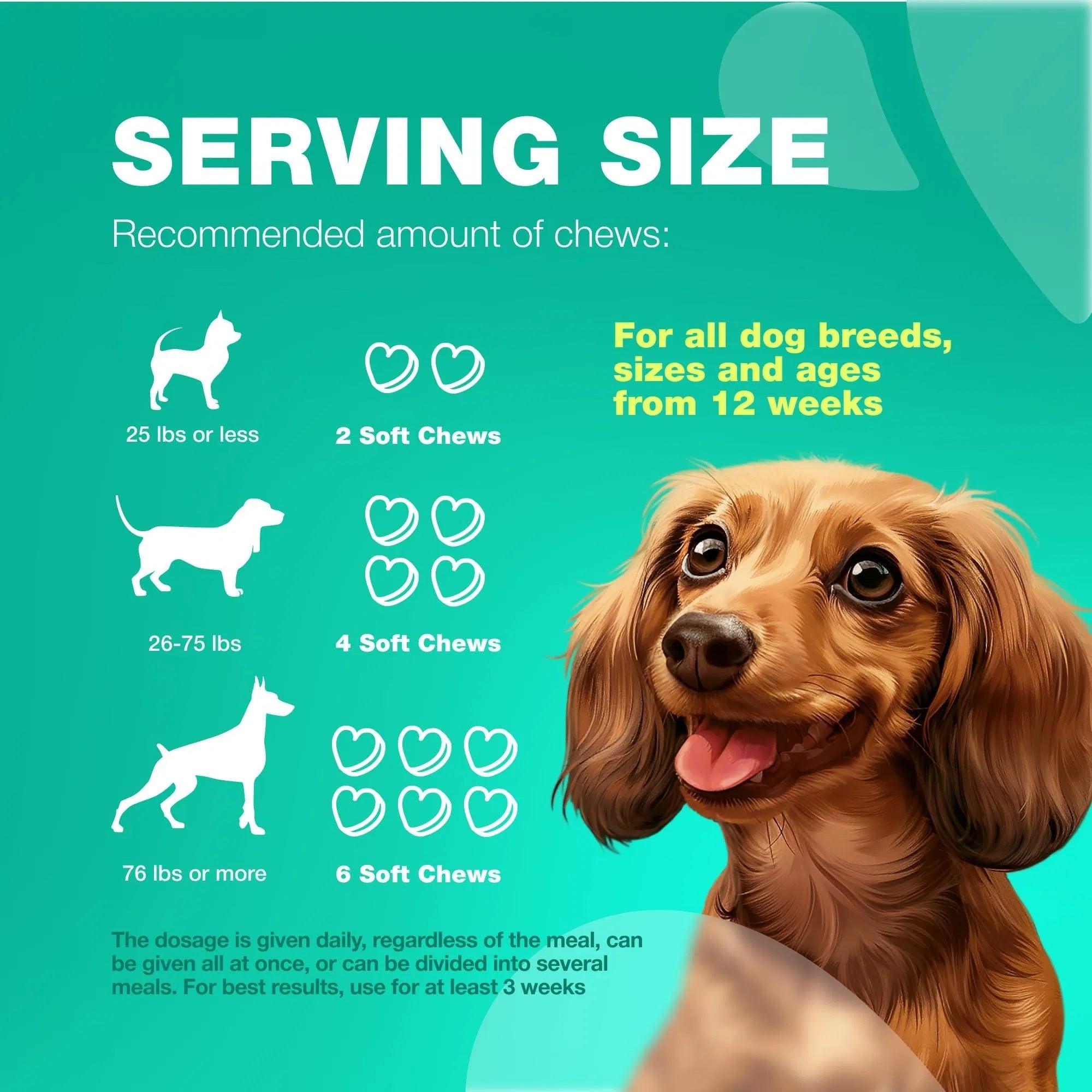 Probiotics for Dogs – Gut Health, Immunity & Allergy Support (180 Chews)