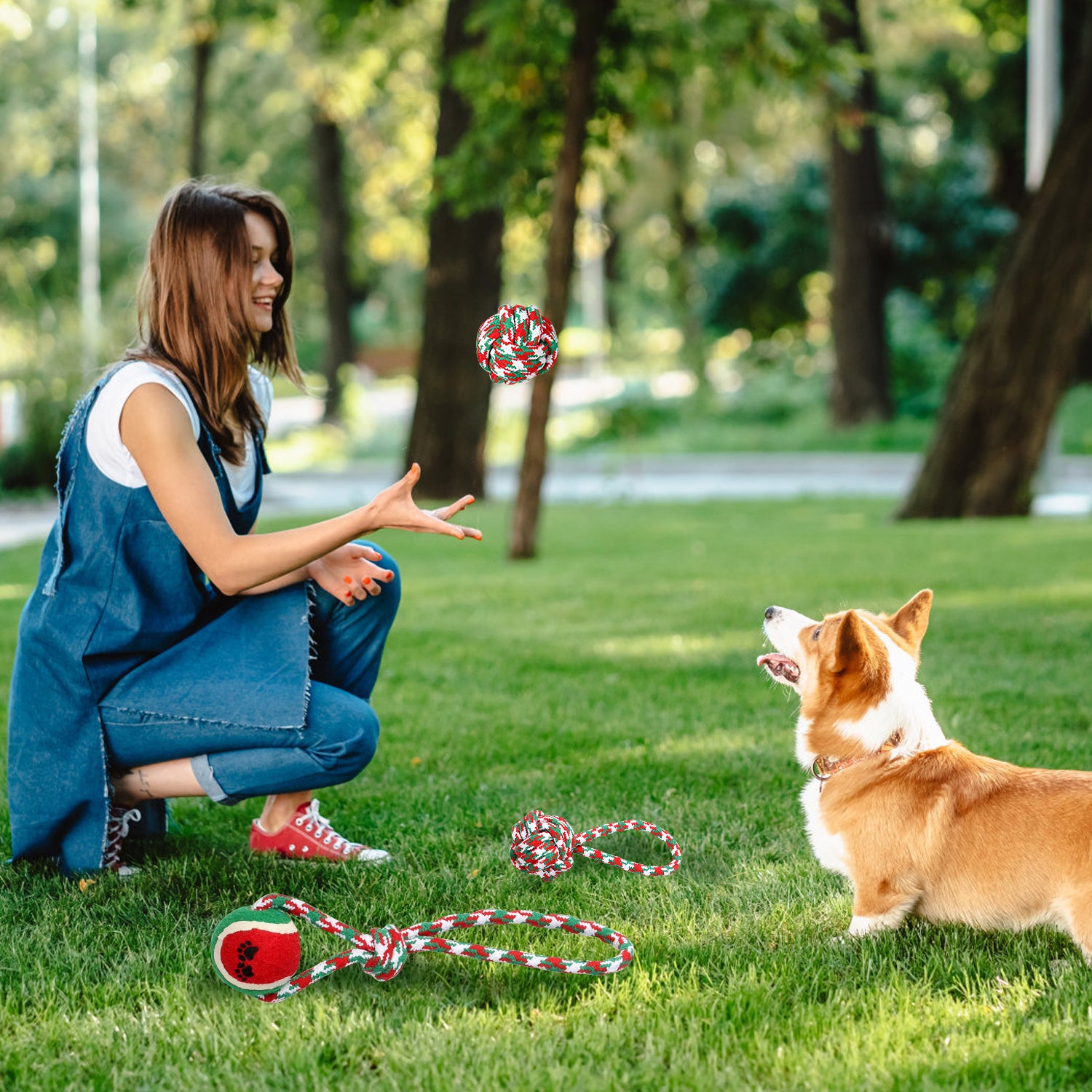 5-Pack Christmas Dog Rope Chew Toys - Holiday Training Set