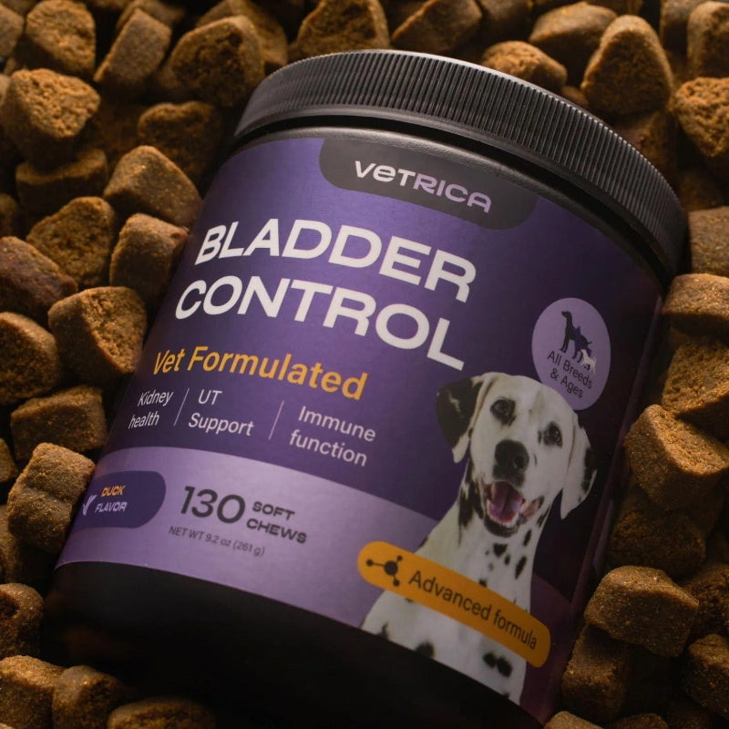 Dog UTI Treatment – Duck Flavor Cranberry Chews for Bladder & Urinary Tract Health