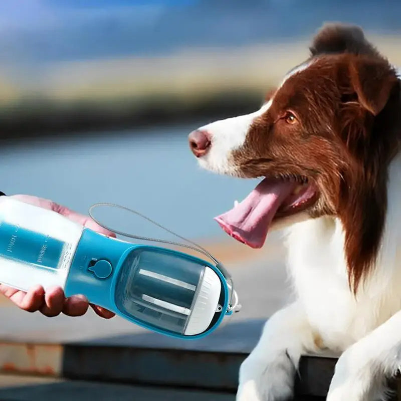 3-in-1 Portable Dog Water Bottle & Food Container