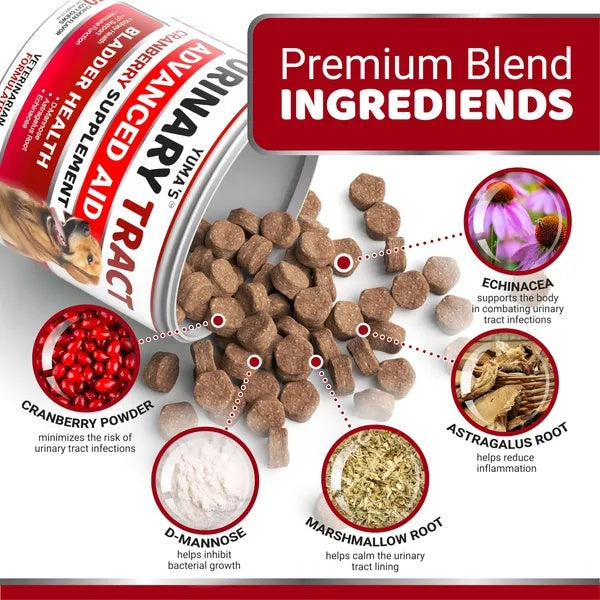 Dog UTI Treatment - Cranberry Supplement for Bladder Control (170 Treats)