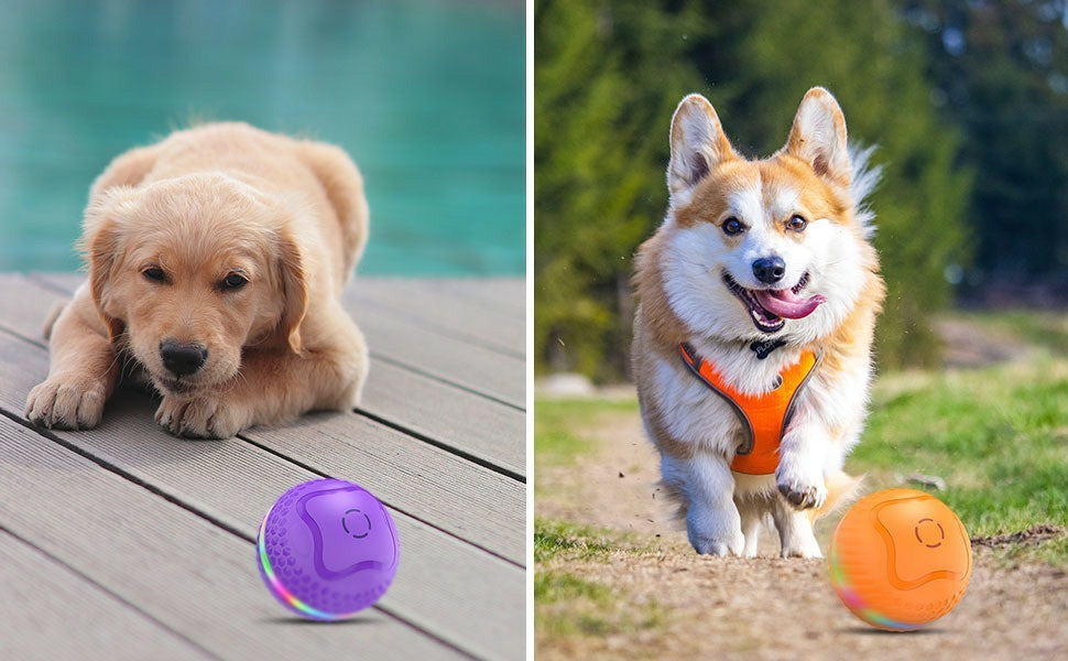 Interactive Dog Toy Ball - Automatic Rolling with LED Lights