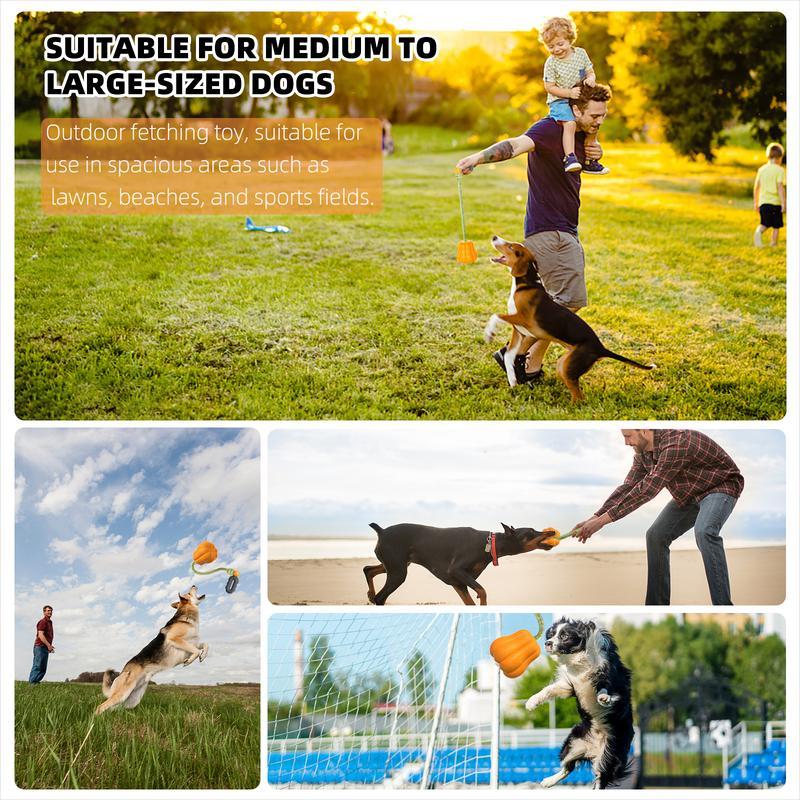 Dog Rope Fetch Toy for Medium & Large Dogs - Tug of War Training Toy