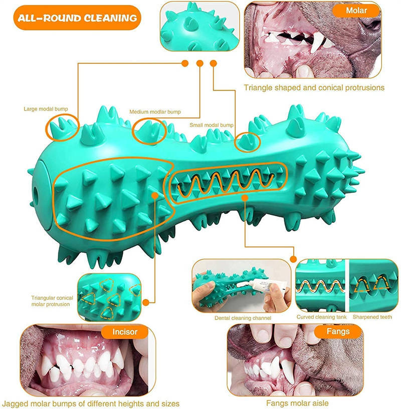 Interactive Dog Toothbrush Chew Toy with Sound