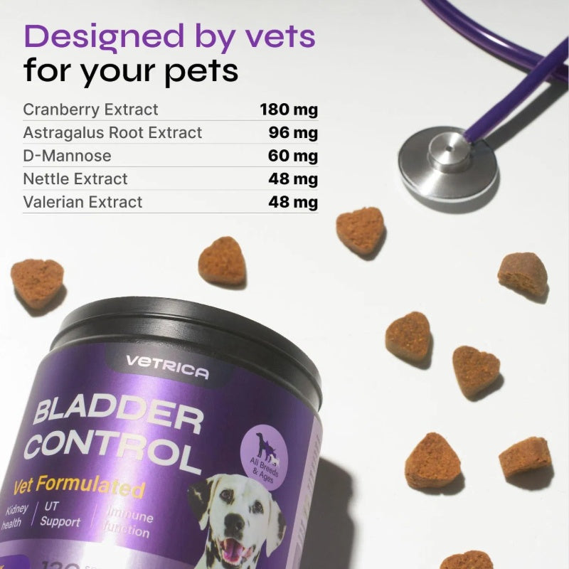 Dog UTI Treatment – Duck Flavor Cranberry Chews for Bladder & Urinary Tract Health