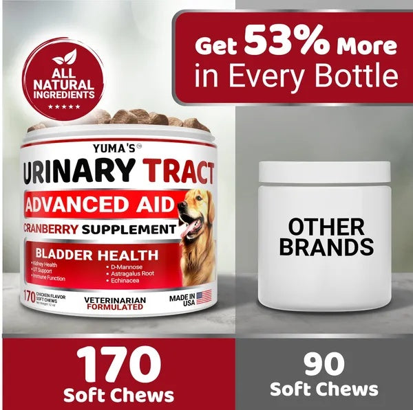 Dog UTI Treatment - Cranberry Supplement for Bladder Control (170 Treats)