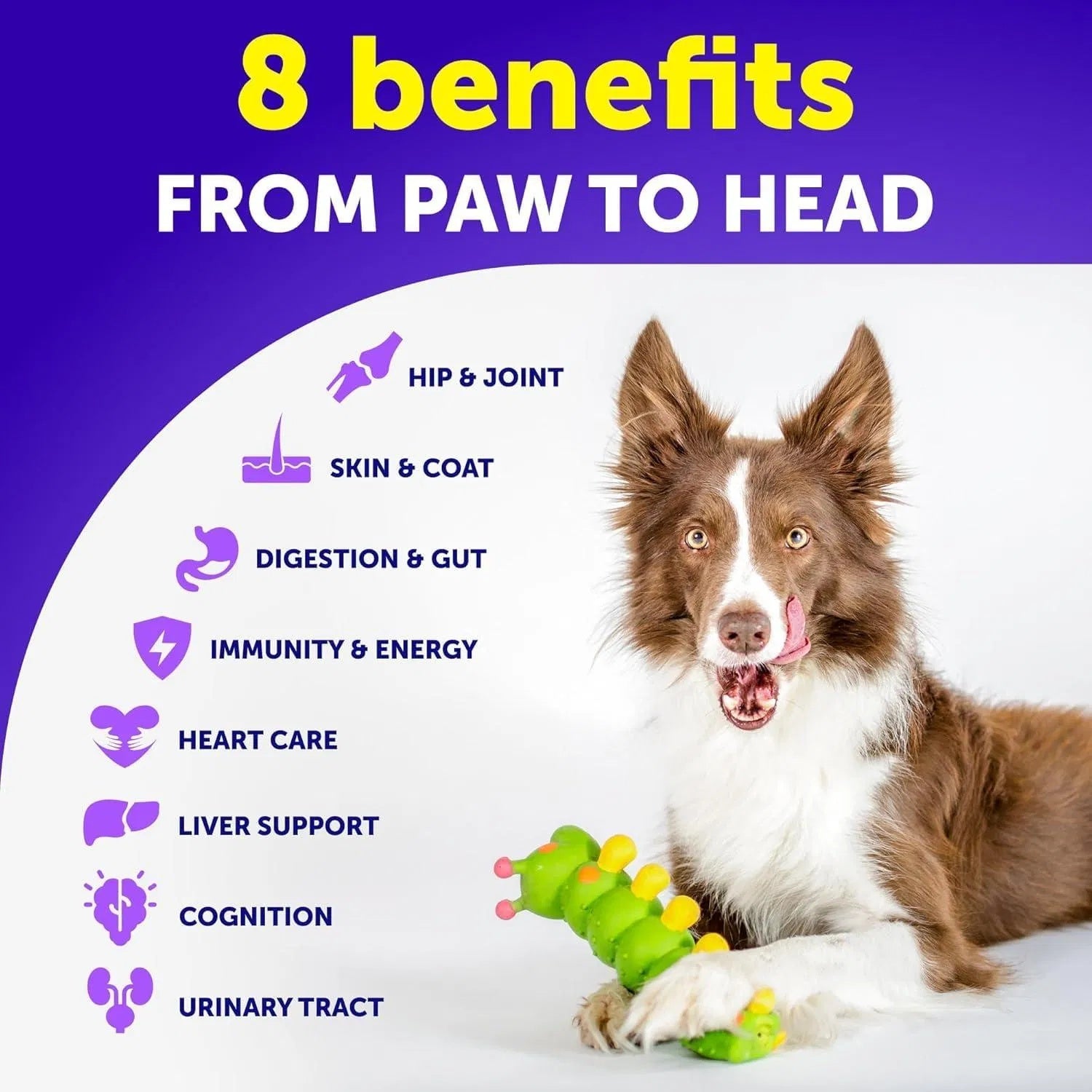 Multivitamin Chewables for Dogs 20-in-1 with Glucosamine – Joint, Immune & Skin Support (120 Chews)