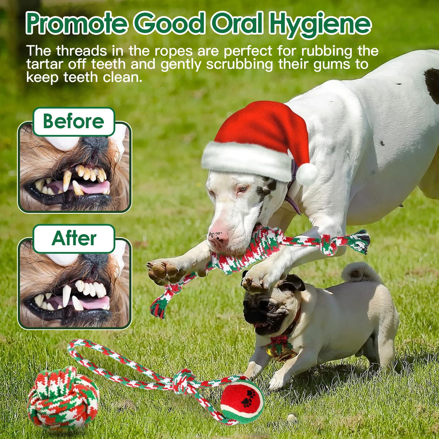 5-Pack Christmas Dog Rope Chew Toys - Holiday Training Set