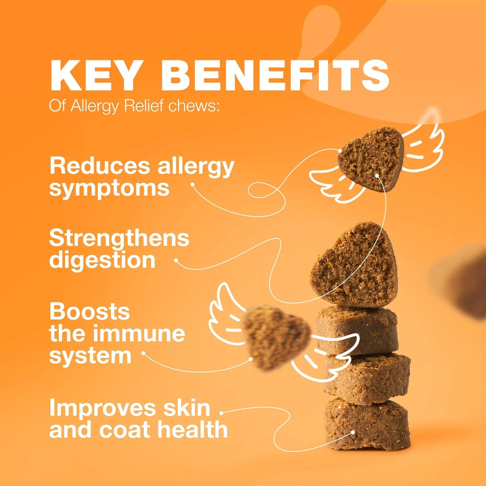 Dog Allergy Relief Chews - Itch & Skin Support with Salmon Oil