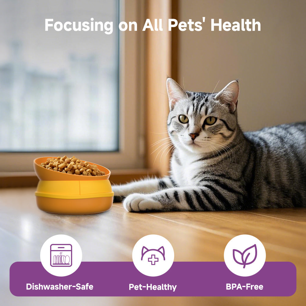 5-in-1 Hamburger Style Pet Feeding Station