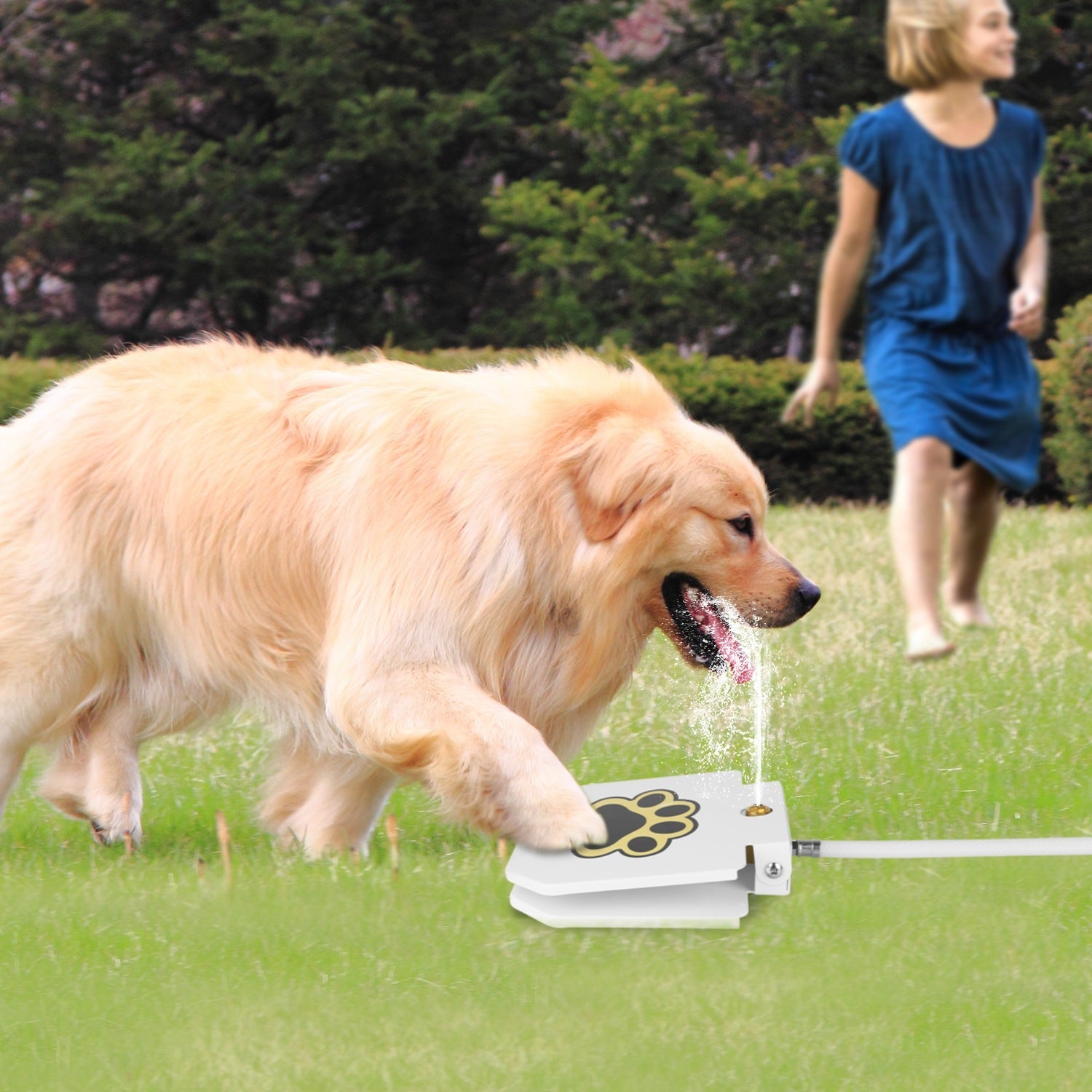 Outdoor Dog Water Fountain - Step-Activated Pet Drinking Dispenser