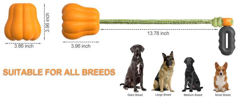 Dog Rope Fetch Toy for Medium & Large Dogs - Tug of War Training Toy