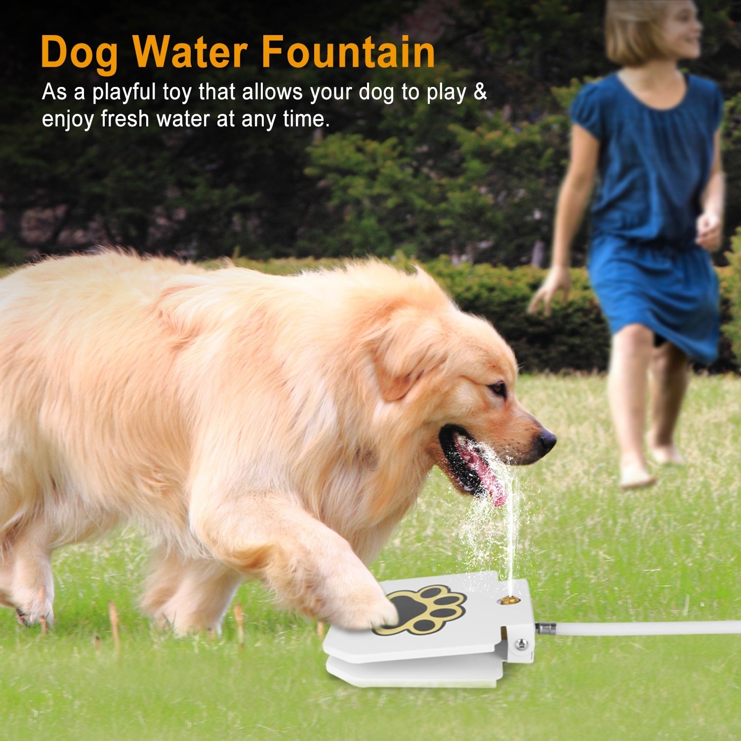 Outdoor Dog Water Fountain - Step-Activated Pet Drinking Dispenser