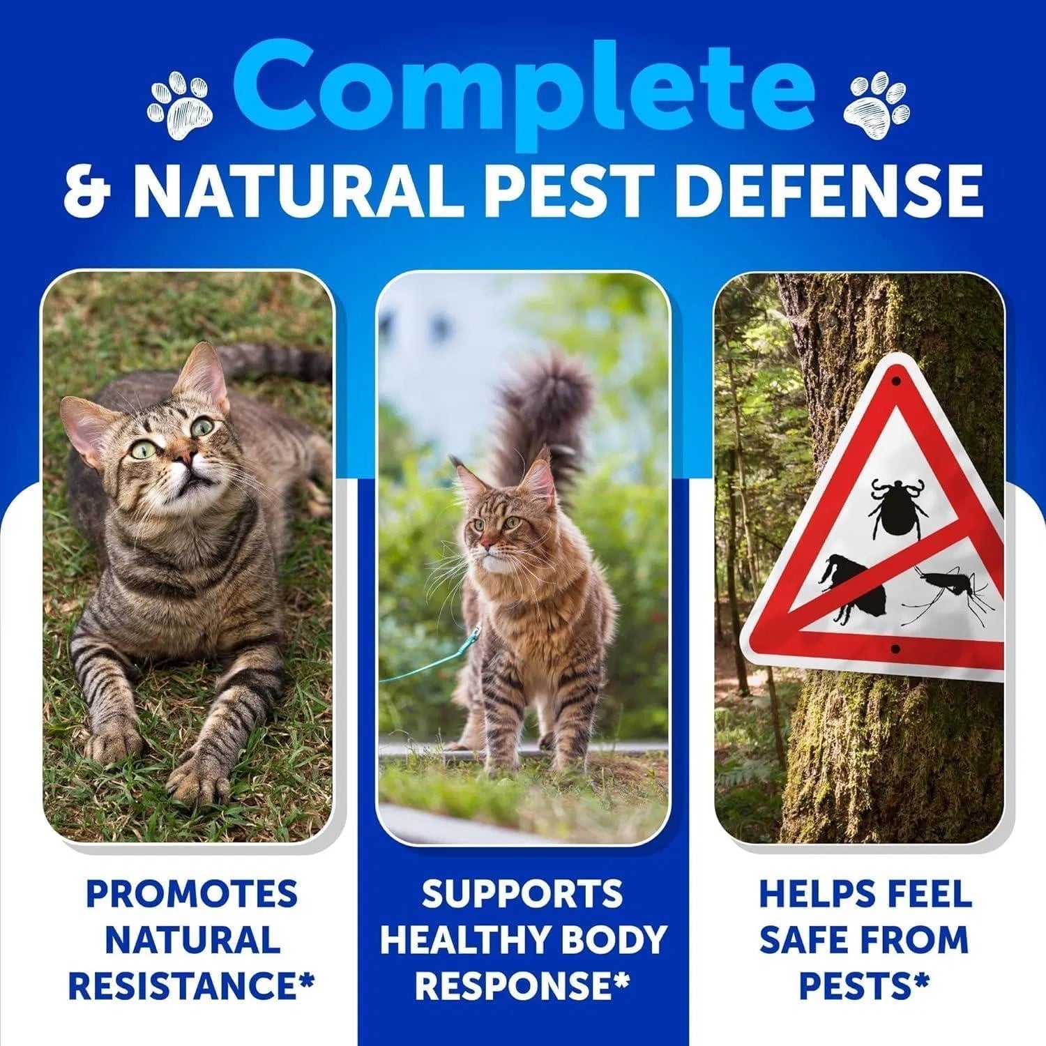 Natural Flea & Tick Prevention for Cats – Daily Chewable Supplement (135 Soft Chews)
