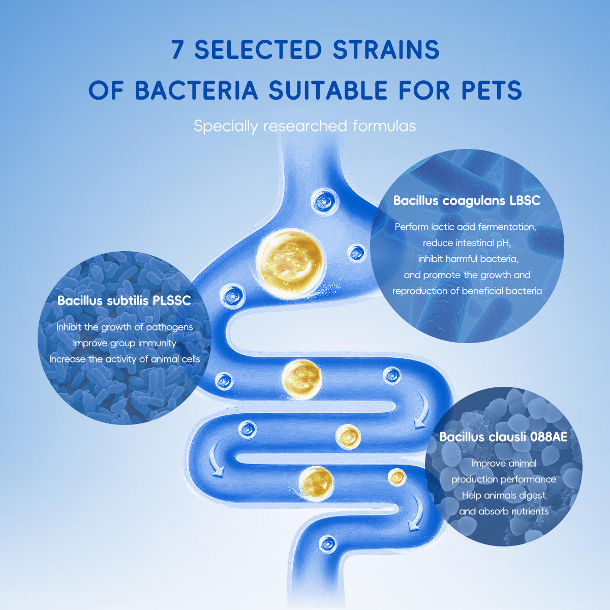 Dog & Cat Probiotics - 7 Strains with Prebiotics, Pumpkin & Carrot