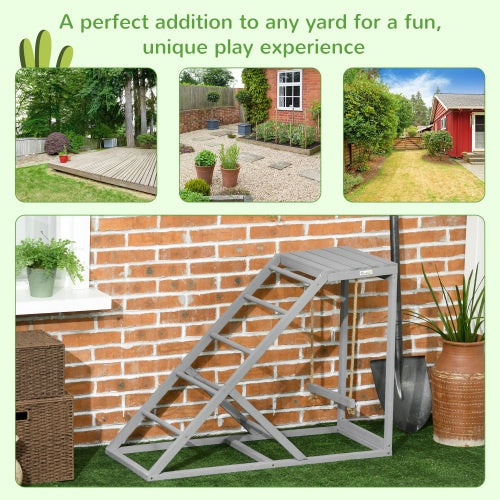 Chicken Swing Set with Perch & Ladder - Coop Enrichment Toy