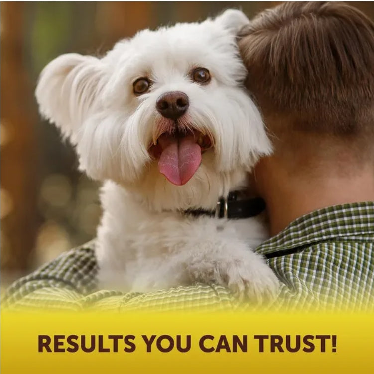 Scoot Stopper Soft Chews – Fiber & Pumpkin for Dog Anal-Gland & Digestive Support (180 Chewables)