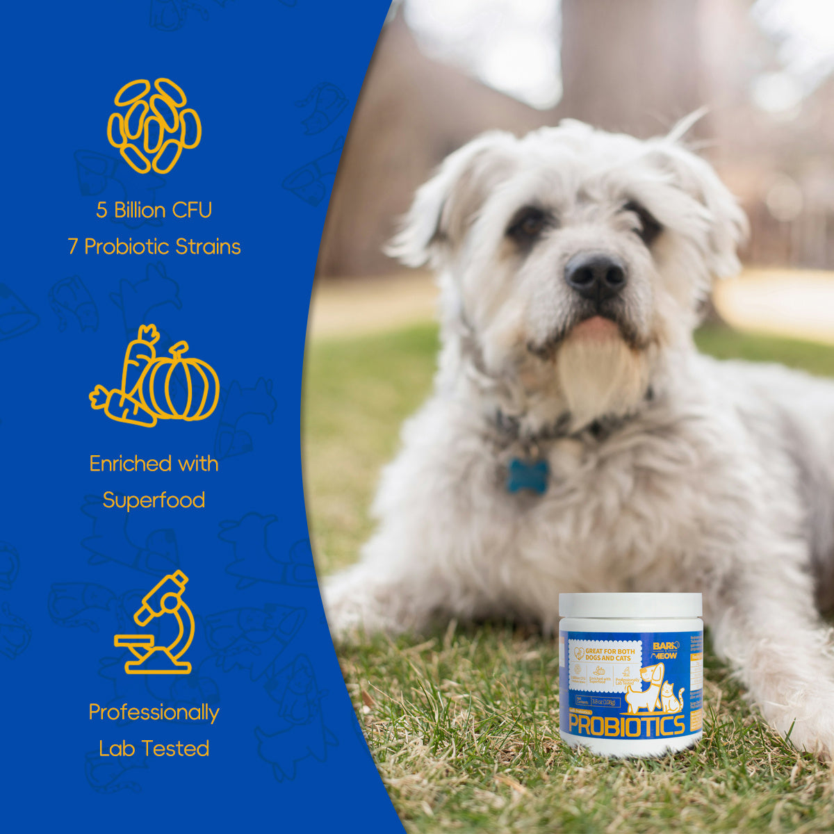 Dog & Cat Probiotics - 7 Strains with Prebiotics, Pumpkin & Carrot