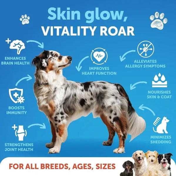 Salmon Oil for Dogs – Wild Alaskan Fish Oil Supplement (8 FL OZ)