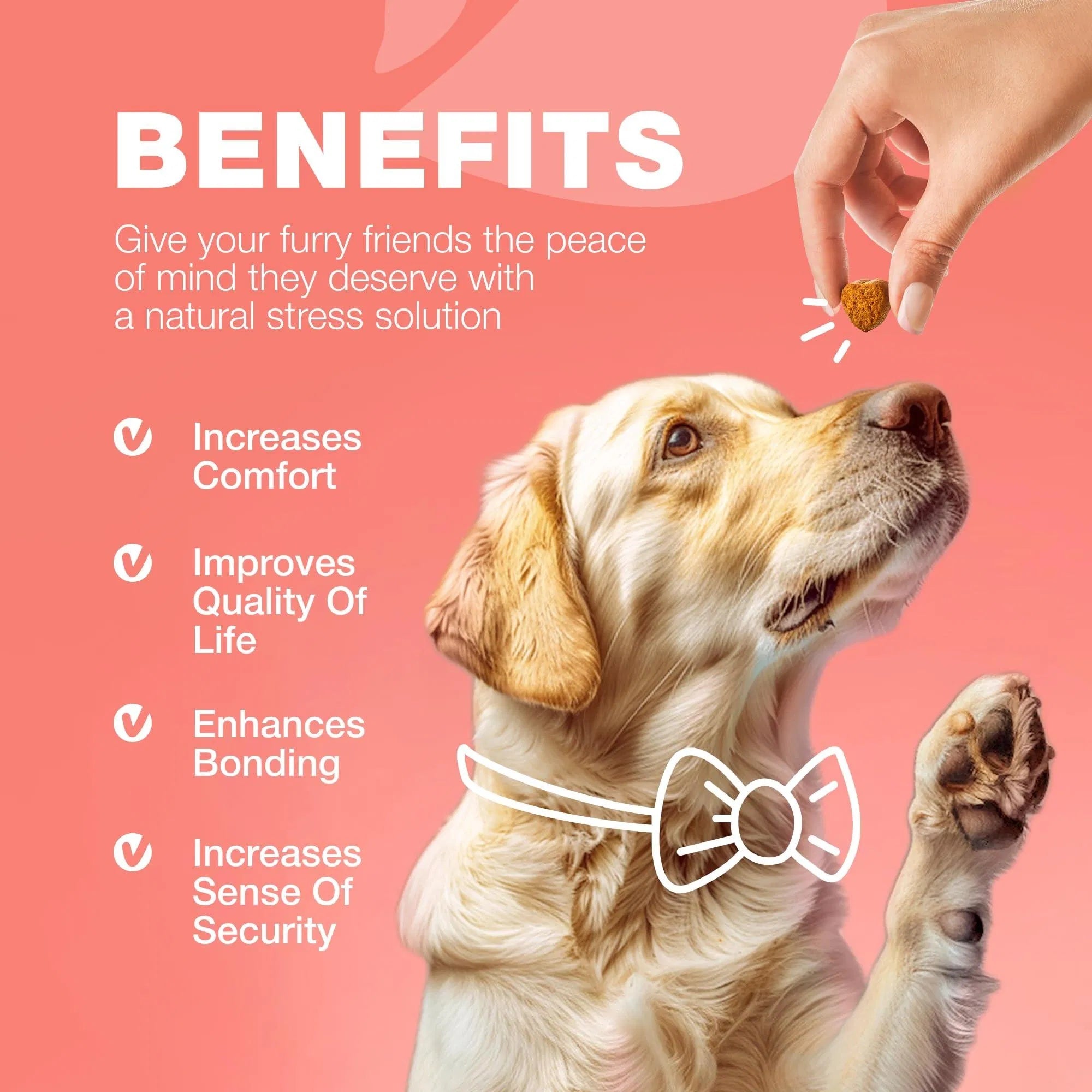 Natural Flea & Tick Prevention Chews for Dogs - Chemical-Free Immune Support Treats