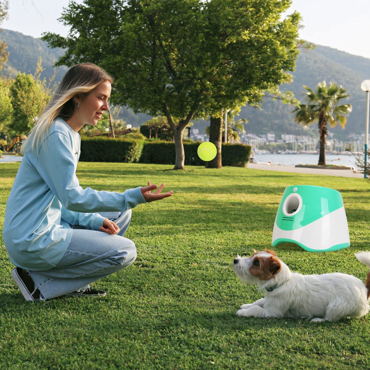 Automatic Dog Ball Launcher with 6 Tennis Balls - Interactive Fetch Machine