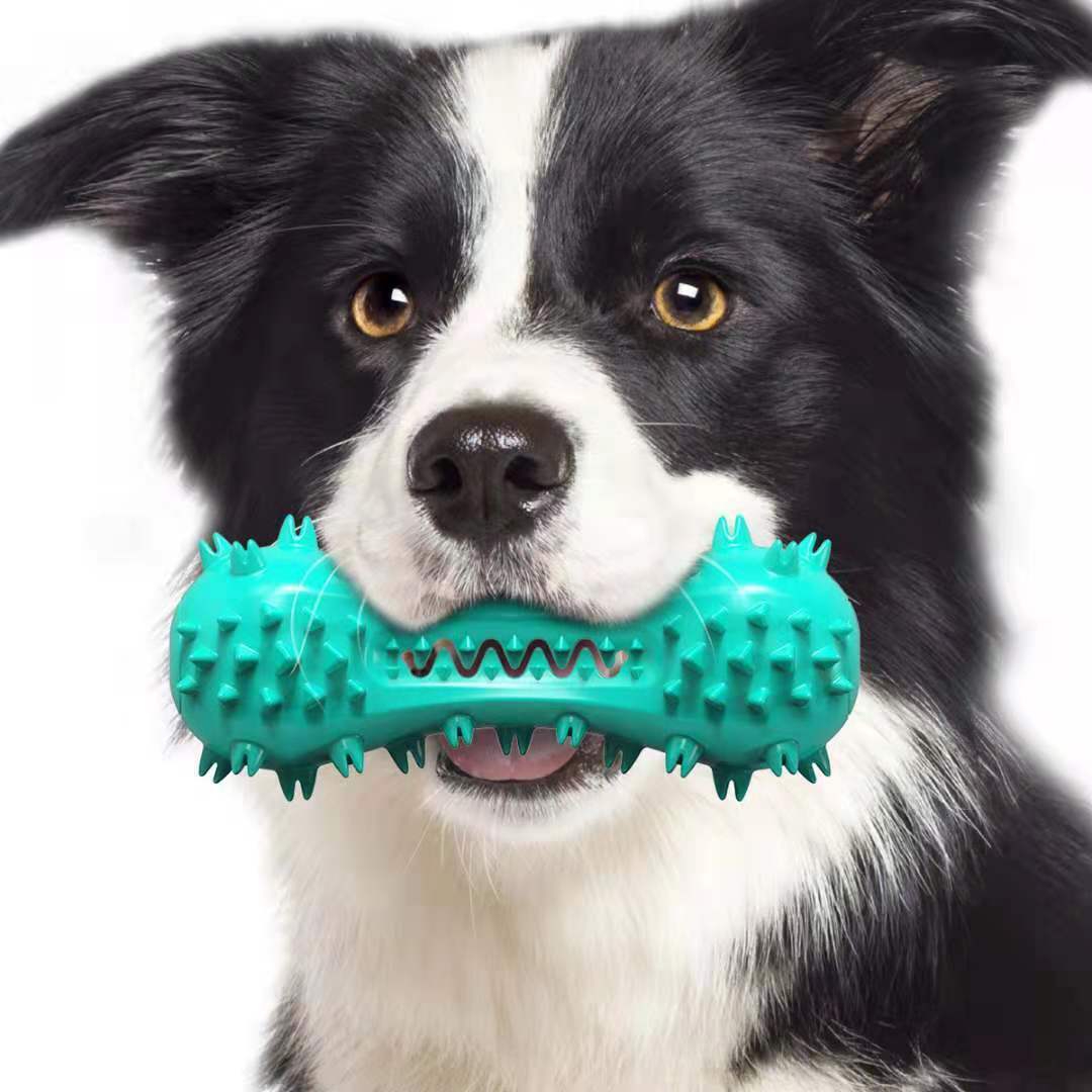 Interactive Dog Toothbrush Chew Toy with Sound