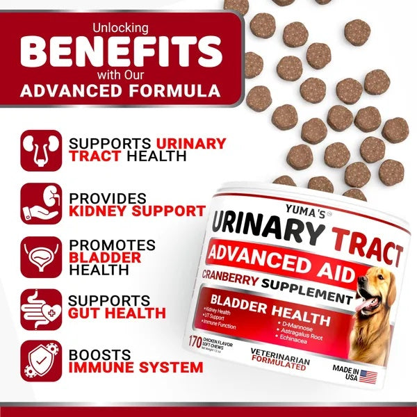 Dog UTI Treatment - Cranberry Supplement for Bladder Control (170 Treats)