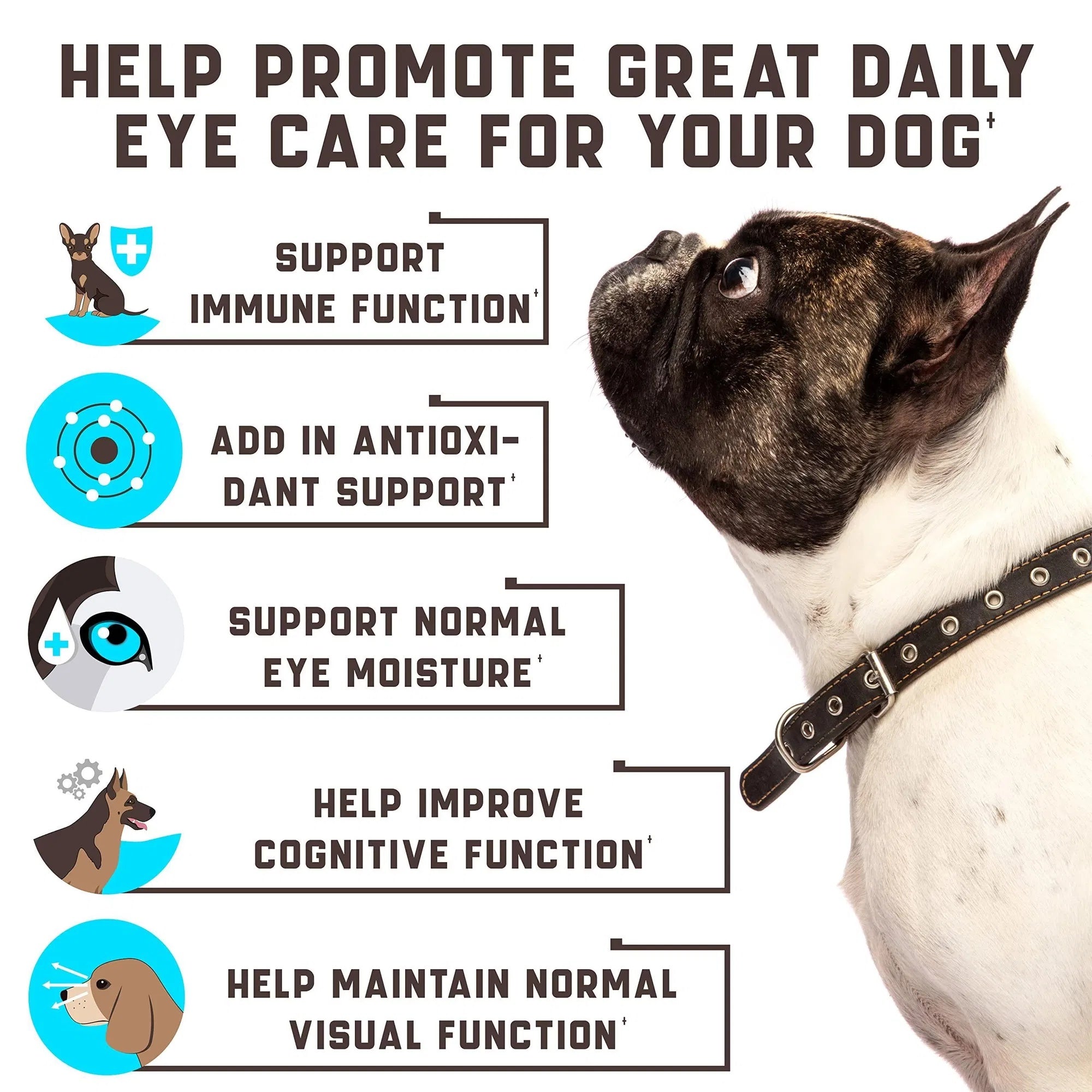 Dog Eye Vitamins - Vision Support & Tear Stain Supplement