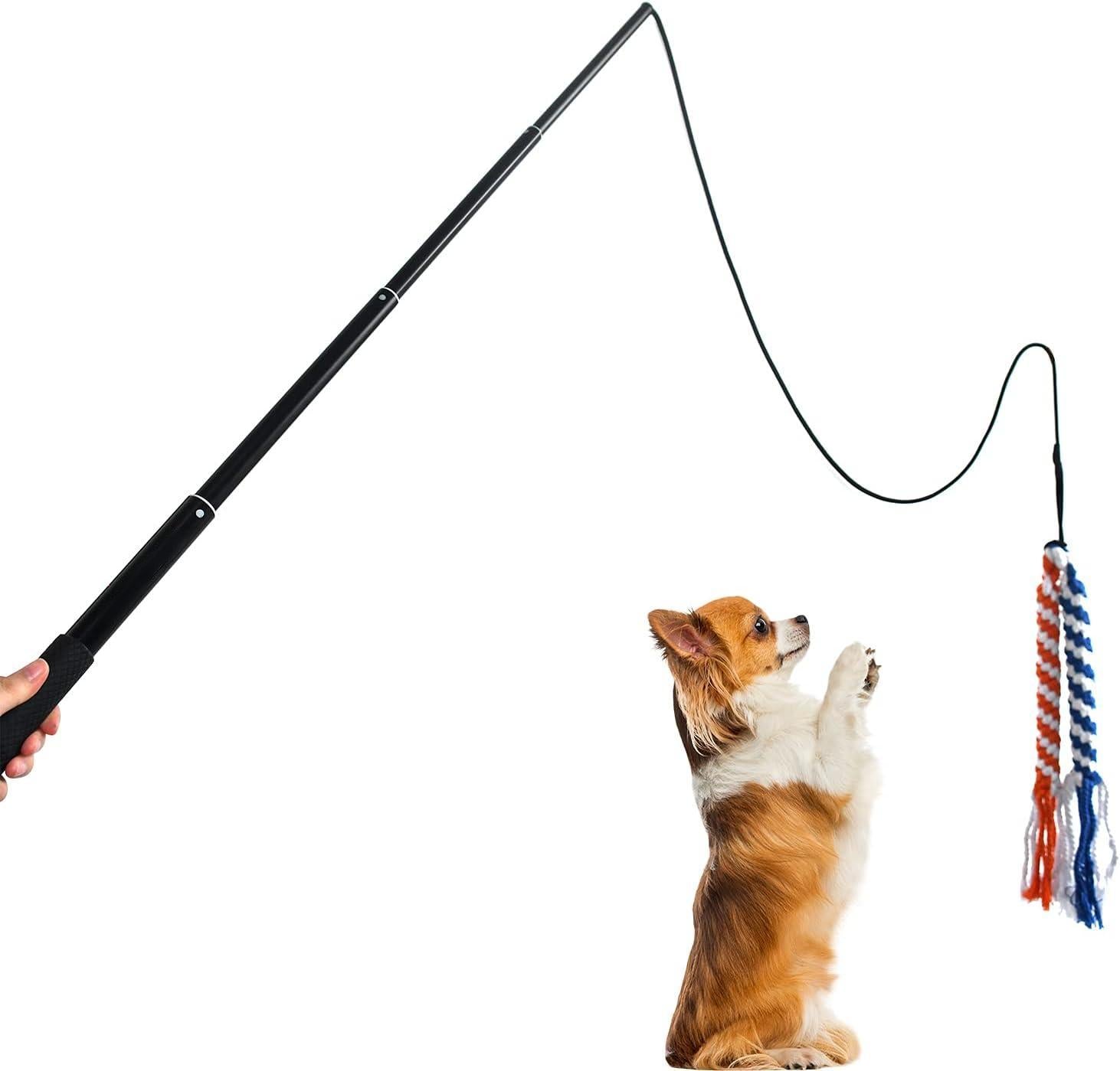 Extendable Dog Teaser Wand - Interactive Flirt Pole Toy