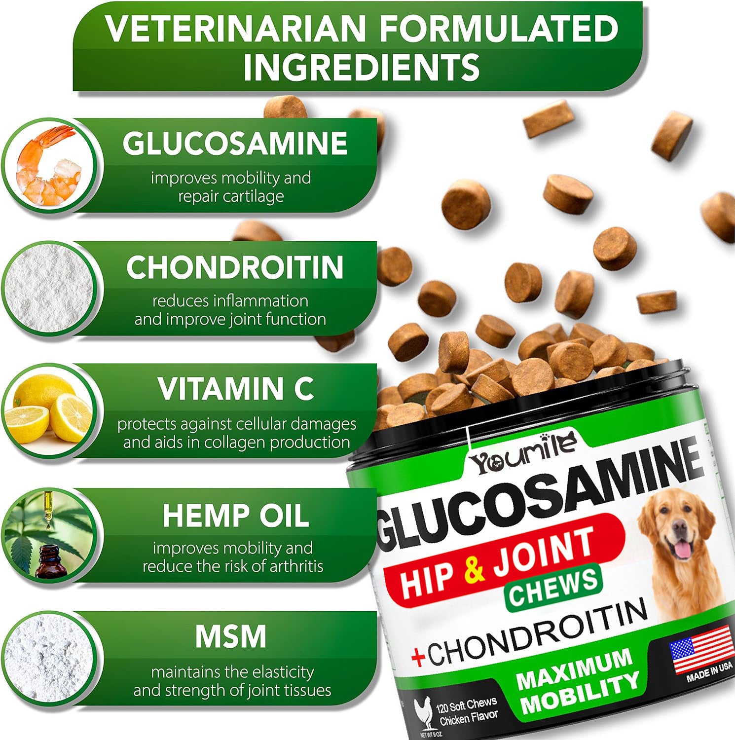Pet Hip & Joint Support Supplement with Chondroitin – Mobility Formula for Dogs