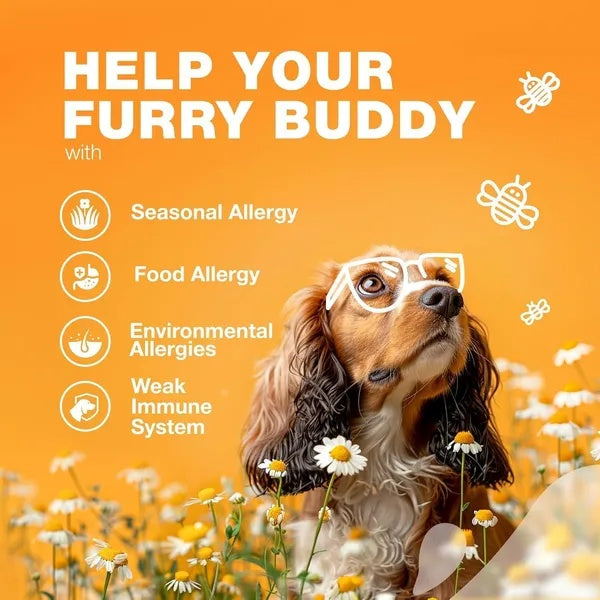 Dog Allergy Relief Chews – Itch Relief with Salmon Oil for Skin & Immune Health