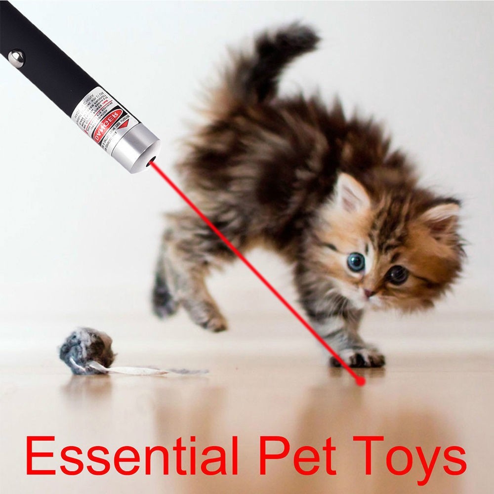 Red Laser Pointer Pen for Cats 10 pcs - Interactive Pet Toy