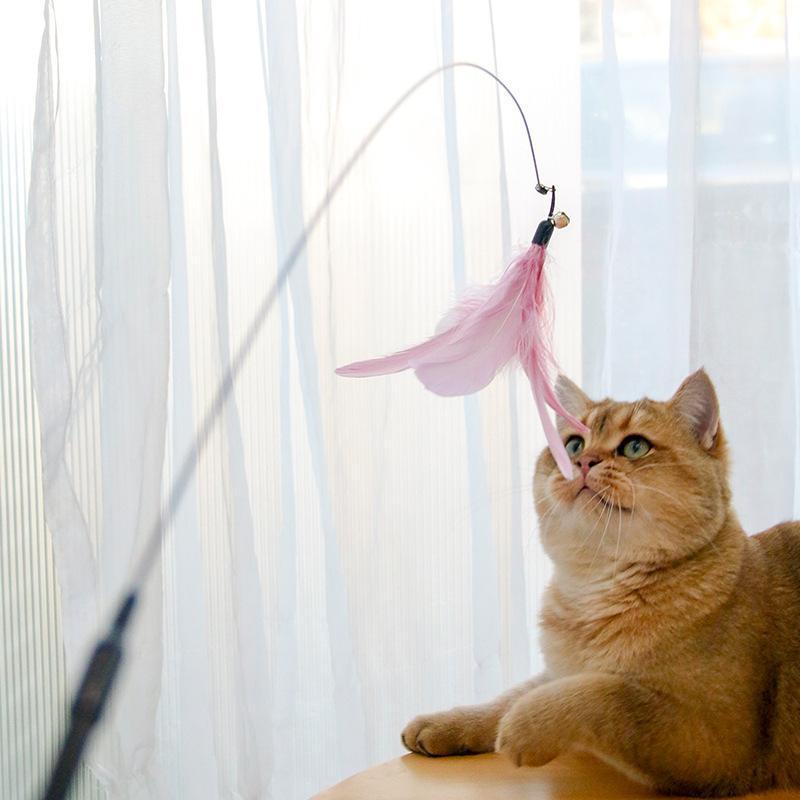 Retractable Laser Cat Teaser Wand - Interactive Toy with Balls