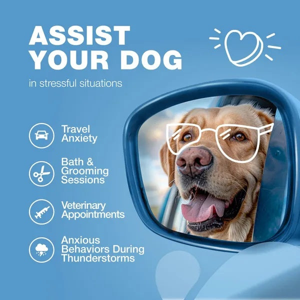 Hemp Calming Chews for Dogs – Natural Anxiety Relief Treats