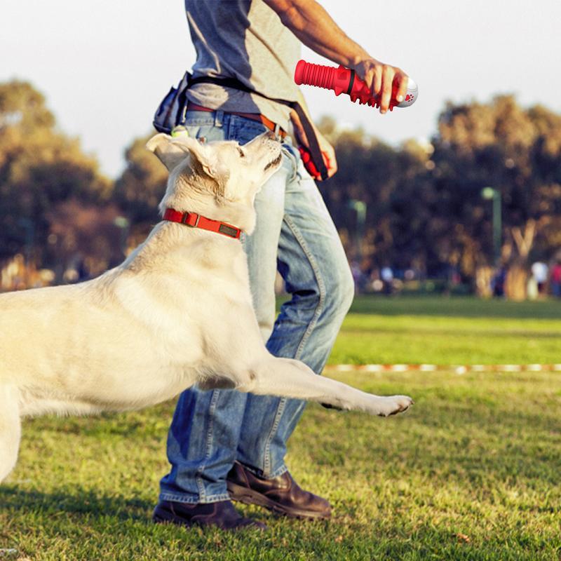 Interactive Dog Toy for Medium & Large Dogs - Durable Play Toy