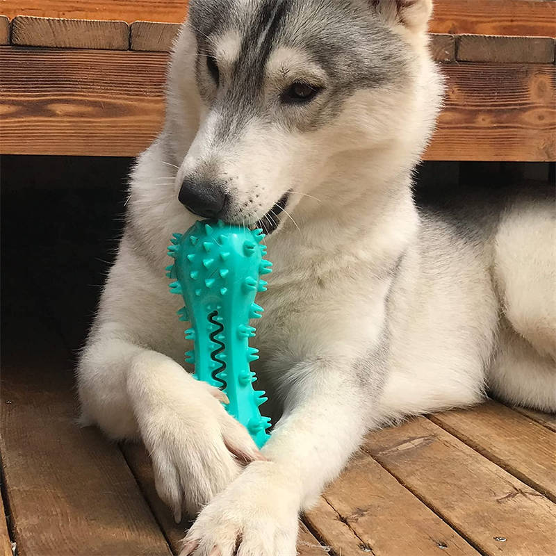 Interactive Dog Toothbrush Chew Toy with Sound