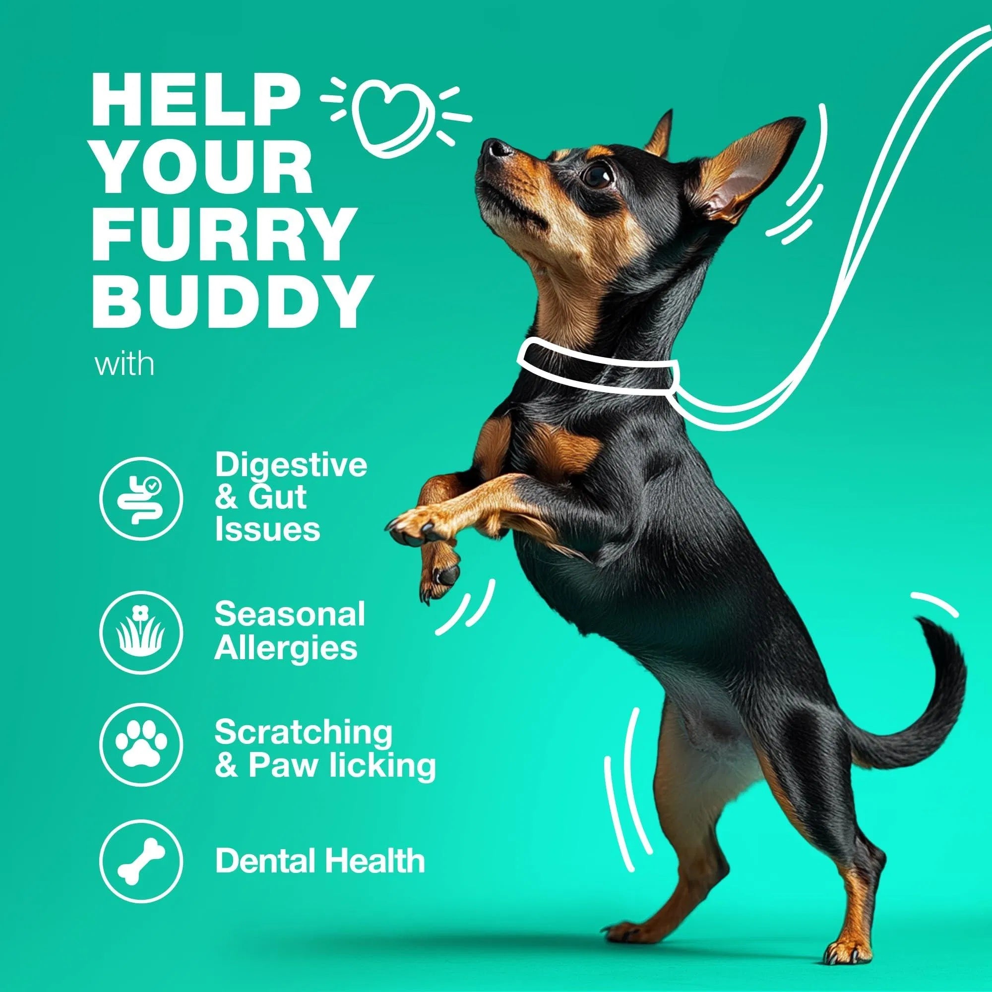 Probiotics for Dogs – Gut Health, Immunity & Allergy Support (180 Chews)