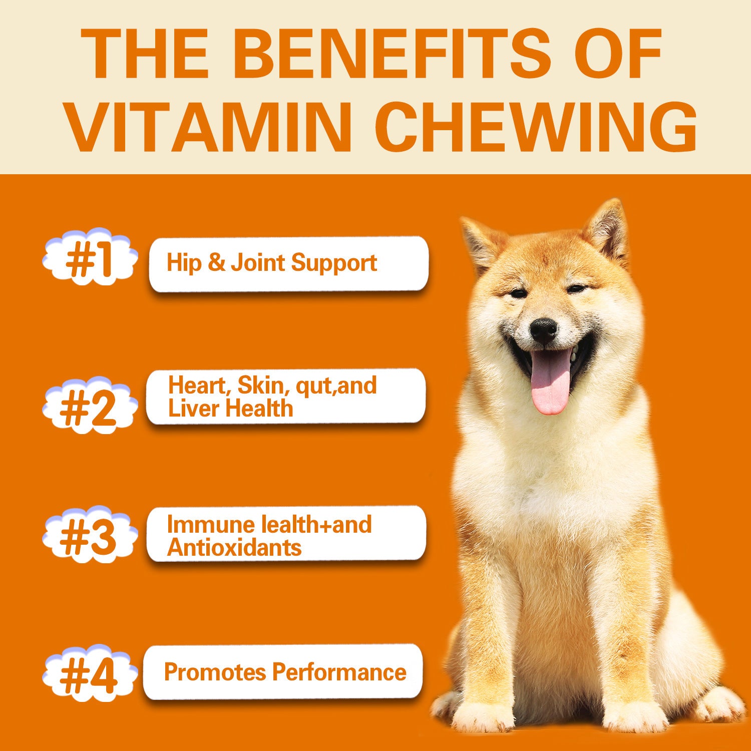 Multifunctional Pet Vitamin - Complete Health Care Supplement for Dogs & Puppies