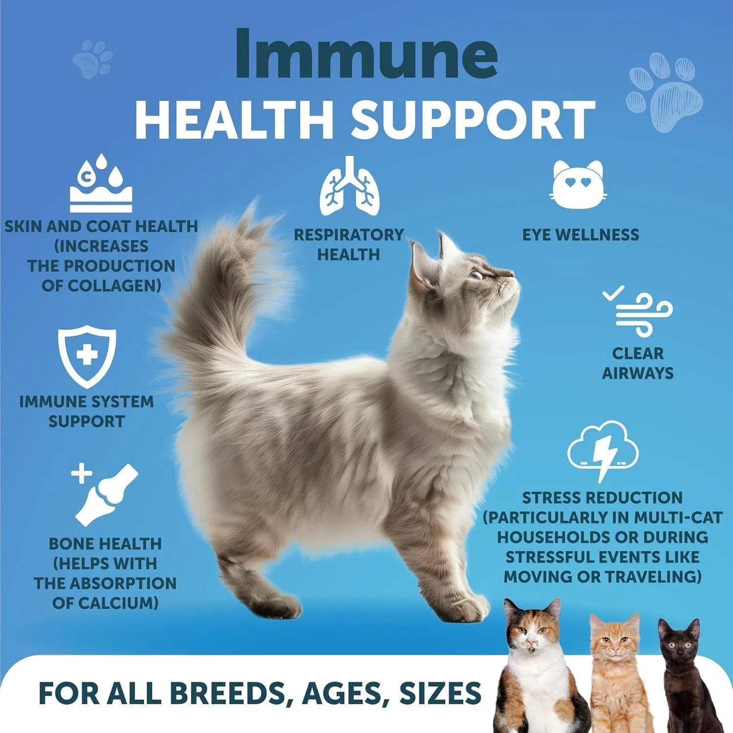 Cat L-Lysine Powder - 900mg Immune & Respiratory Support Supplement